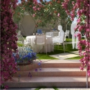 DLF Camellias - Party Lawn